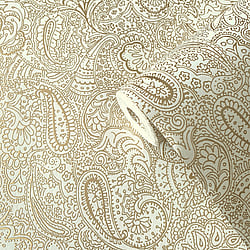 Galerie Wallcoverings Product Code: 11301 - Elegance Wallpaper Collection Galerie Wallcoverings Product Code 11301 - Elegance Wallpaper Collection - Paisley Trellis Design