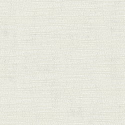 Galerie Wallcoverings Product Code: 12009 - Design Wallpaper Collection Galerie Wallcoverings Product Code 12009 - Design Wallpaper Collection - Off White White Colours - Dots Design