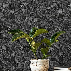 Galerie Wallcoverings Product Code: 12705 - Ted Baker Fantasia Wallpaper Collection Galerie Wallcoverings Product Code 12705 - Ted Baker Fantasia Wallpaper Collection - Black Silver Colours - Monflo Design