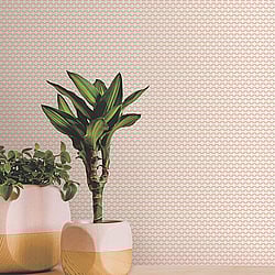 Galerie Wallcoverings Product Code: 12706 - Ted Baker Fantasia Wallpaper Collection Galerie Wallcoverings Product Code 12706 - Ted Baker Fantasia Wallpaper Collection - Cream Pink Colours - Mano Design
