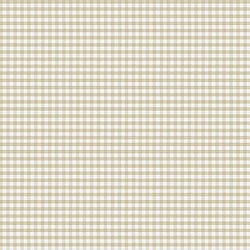 Galerie Wallcoverings Product Code: 14847 - Little Explorers 2 Wallpaper Collection Galerie Wallcoverings Product Code 14847 - Little Explorers 2 Wallpaper Collection - Beige Colours - Our Two Tone Gingham wallpaper takes this traditional pattern to a modern place with its muted colourways. Give your cute nursery, bedroom, kitsch kitchen or cosy living room a wallpaper update with this contemporary take on classic gingham. Two Tone Gingham is a repeat pattern wallpaper, meaning you can place it on a single feature wall, or continue it across as many walls as you like. Whether you wrap your space up in playful gingham or keep it to a small pop of pattern is up to you! Design