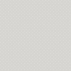 Galerie Wallcoverings Product Code: 14863 - Little Explorers 2 Wallpaper Collection Galerie Wallcoverings Product Code 14863 - Little Explorers 2 Wallpaper Collection - Silver Grey Colours - Neutrals and polka dots have never looked as good as they do in the refined style of our Dot wallpaper. This delicate polka dot design places cream dots atop a darker neutral background to create a vibrant pattern that is playful yet not overwhelming. The colour scheme lends itself to relaxation, positivity, and calm, whilst the dots add new life and energy to your space. The neutral colour scheme works with any decor and you can build on this modern design with contemporary or traditional furnishings and decor. Design