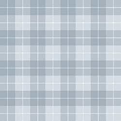 Galerie Wallcoverings Product Code: 14873 - Little Explorers 2 Wallpaper Collection Galerie Wallcoverings Product Code 14873 - Little Explorers 2 Wallpaper Collection - Heavenly Colours - Introducing our captivating Twilled Tartan wallpaper, a stunning addition to elevate your home décor. Crafted with meticulous attention to detail, this slightly textured vinyl wallpaper embodies the essence of balanced design. With its rich matte muted colours, complemented by the subtle interweaving of white threads, it creates an illusion of a beautifully handwoven fabric. The intricate twill pattern adds a touch of sophistication and elegance to any space, infusing it with a sense of timeless charm. Design