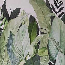 Galerie Wallcoverings Product Code: 18001 - Tropical Wallpaper Collection Galerie Wallcoverings Product Code 18001 - Tropical Wallpaper Collection - Coconut Colours - Tropical Forest Design