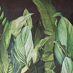 Galerie Wallcoverings Product Code: 18002 - Tropical Wallpaper Collection Galerie Wallcoverings Product Code 18002 - Tropical Wallpaper Collection - Blackberry Colours - Tropical Forest Design