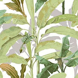 Galerie Wallcoverings Product Code: 18541 - Into The Wild Wallpaper Collection Galerie Wallcoverings Product Code 18541 - Into The Wild Wallpaper Collection - Green Colours - Banana Tree Design