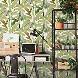 Galerie Wallcoverings Product Code: 18541 - Into The Wild Wallpaper Collection Galerie Wallcoverings Product Code 18541 - Into The Wild Wallpaper Collection - Green Colours - Banana Tree Design