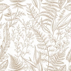 Galerie Wallcoverings Product Code: 18562 - Into The Wild Wallpaper Collection Galerie Wallcoverings Product Code 18562 - Into The Wild Wallpaper Collection - Beige Colours - Botanical Design