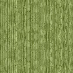 Galerie Wallcoverings Product Code: 18575 - Into The Wild Wallpaper Collection Galerie Wallcoverings Product Code 18575 - Into The Wild Wallpaper Collection - Green Colours - Bamboo Design