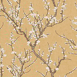 Galerie Wallcoverings Product Code: 1903-2 - Spring Blossom Wallpaper Collection Galerie Wallcoverings Product Code 1903-2 - Spring Blossom Wallpaper Collection - Yellow Colours - SAKURA TREE Design