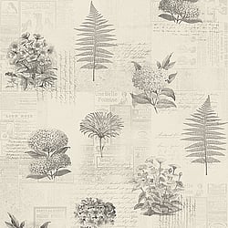 Galerie Wallcoverings Product Code: 218122 - Botanik Wallpaper Collection Galerie Wallcoverings Product Code 218122 - Botanik Wallpaper Collection -