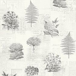 Galerie Wallcoverings Product Code: 218123 - Botanik Wallpaper Collection Galerie Wallcoverings Product Code 218123 - Botanik Wallpaper Collection -