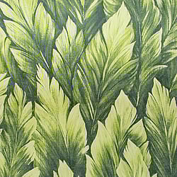 Galerie Wallcoverings Product Code: 26708 - Tropical Wallpaper Collection Galerie Wallcoverings Product Code 26708 - Tropical Wallpaper Collection - Avocado Colours - Samoa Design