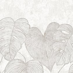 Galerie Wallcoverings Product Code: 26979 - Julie Feels Home Wallpaper Collection Galerie Wallcoverings Product Code 26979 - Julie Feels Home Wallpaper Collection - Monstera Twinwall Design