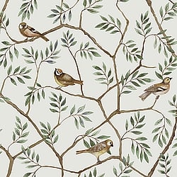 Galerie Wallcoverings Product Code: 27017 - Morgongava Wallpaper Collection Galerie Wallcoverings Product Code 27017 - Morgongava Wallpaper Collection - Green Brown Colours - August Design