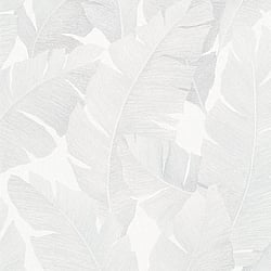 Galerie Wallcoverings Product Code: 31623 - The New Design Book Wallpaper Collection Galerie Wallcoverings Product Code 31623 - The New Design Book Wallpaper Collection - white grey Colours - Floral Design