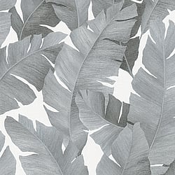 Galerie Wallcoverings Product Code: 31624 - The New Design Book Wallpaper Collection Galerie Wallcoverings Product Code 31624 - The New Design Book Wallpaper Collection - black silver Colours - Floral Design