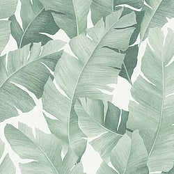 Galerie Wallcoverings Product Code: 31650 - The New Design Book Wallpaper Collection Galerie Wallcoverings Product Code 31650 - The New Design Book Wallpaper Collection - white green Colours - Floral Design
