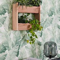 Galerie Wallcoverings Product Code: 31650 - The New Design Book Wallpaper Collection Galerie Wallcoverings Product Code 31650 - The New Design Book Wallpaper Collection - white green Colours - Floral Design