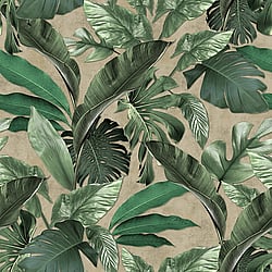 Galerie Wallcoverings Product Code: 34198 - Loft 2 Wallpaper Collection Galerie Wallcoverings Product Code 34198 - Loft 2 Wallpaper Collection - Green, Beige Colours - Tropical Wall Panel Design