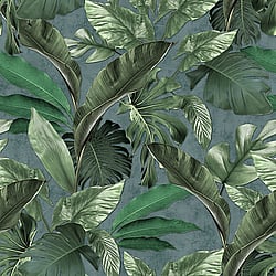 Galerie Wallcoverings Product Code: 34199 - Loft 2 Wallpaper Collection Galerie Wallcoverings Product Code 34199 - Loft 2 Wallpaper Collection - Green Colours - Tropical Wall Panel Design