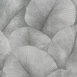 Galerie Wallcoverings Product Code: 34508 - Kumano Wallpaper Collection Galerie Wallcoverings Product Code 34508 - Kumano Wallpaper Collection - Grey Colours - Palm Leaf Design
