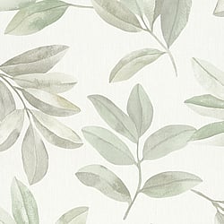 Galerie Wallcoverings Product Code: 34708 - The New Design Book Wallpaper Collection Galerie Wallcoverings Product Code 34708 - The New Design Book Wallpaper Collection - White,Green Colours - Twig Leaf Design