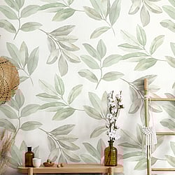 Galerie Wallcoverings Product Code: 34708 - The New Design Book Wallpaper Collection Galerie Wallcoverings Product Code 34708 - The New Design Book Wallpaper Collection - White,Green Colours - Twig Leaf Design
