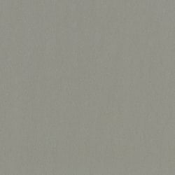 Galerie Wallcoverings Product Code: 34950 - Eclectic Wallpaper Collection Galerie Wallcoverings Product Code 34950 - Eclectic Wallpaper Collection - Silver Colours - Metallic look Design