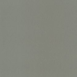 Galerie Wallcoverings Product Code: 34951 - Eclectic Wallpaper Collection Galerie Wallcoverings Product Code 34951 - Eclectic Wallpaper Collection - Gold/Grey Colours - Metallic look Design