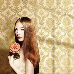 Galerie Wallcoverings Product Code: 3933 - Italian Damasks 3 Wallpaper Collection Galerie Wallcoverings Product Code 3933 - Italian Damasks 3 Wallpaper Collection - Gold Colours - Damask Design
