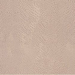 Galerie Wallcoverings Product Code: 423624 - African Queen 2 Wallpaper Collection Galerie Wallcoverings Product Code 423624 - African Queen 2 Wallpaper Collection -