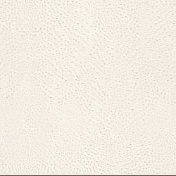 Galerie Wallcoverings Product Code: 423655 - Wall Textures 3 Wallpaper Collection Galerie Wallcoverings Product Code 423655 - Wall Textures 3 Wallpaper Collection -