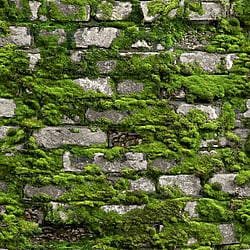 Galerie Wallcoverings Product Code: 45731 - Bricks And More Wallpaper Collection Galerie Wallcoverings Product Code 45731 - Bricks And More Wallpaper Collection - Green Colours - Stone optic Design