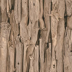 Galerie Wallcoverings Product Code: 473216 - African Queen 2 Wallpaper Collection Galerie Wallcoverings Product Code 473216 - African Queen 2 Wallpaper Collection -