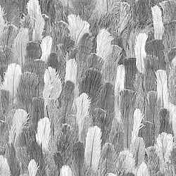 Galerie Wallcoverings Product Code: 473308 - African Queen 2 Wallpaper Collection Galerie Wallcoverings Product Code 473308 - African Queen 2 Wallpaper Collection -