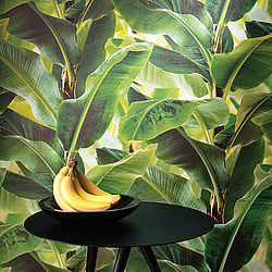 Galerie Wallcoverings Product Code: 473407 - African Queen 2 Wallpaper Collection Galerie Wallcoverings Product Code 473407 - African Queen 2 Wallpaper Collection -