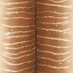 Galerie Wallcoverings Product Code: 473520 - African Queen 2 Wallpaper Collection Galerie Wallcoverings Product Code 473520 - African Queen 2 Wallpaper Collection -