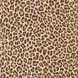 Galerie Wallcoverings Product Code: 473612 - African Queen 2 Wallpaper Collection Galerie Wallcoverings Product Code 473612 - African Queen 2 Wallpaper Collection -