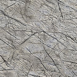 Galerie Wallcoverings Product Code: 474015 - African Queen 2 Wallpaper Collection Galerie Wallcoverings Product Code 474015 - African Queen 2 Wallpaper Collection -