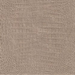 Galerie Wallcoverings Product Code: 474138 - African Queen 2 Wallpaper Collection Galerie Wallcoverings Product Code 474138 - African Queen 2 Wallpaper Collection -