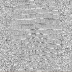 Galerie Wallcoverings Product Code: 474145 - African Queen 2 Wallpaper Collection Galerie Wallcoverings Product Code 474145 - African Queen 2 Wallpaper Collection -