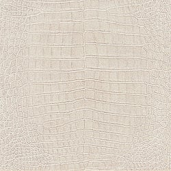 Galerie Wallcoverings Product Code: 474152 - African Queen 2 Wallpaper Collection Galerie Wallcoverings Product Code 474152 - African Queen 2 Wallpaper Collection -