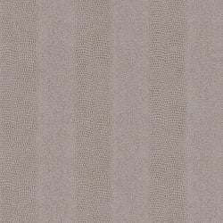 Galerie Wallcoverings Product Code: 482836 - Pop Skin Wallpaper Collection Galerie Wallcoverings Product Code 482836 - Pop Skin Wallpaper Collection -