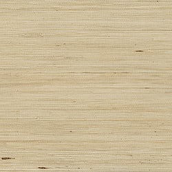 Galerie Wallcoverings Product Code: 488-430 - Grasscloth 2 Wallpaper Collection Galerie Wallcoverings Product Code 488-430 - Grasscloth 2 Wallpaper Collection - Jute Design