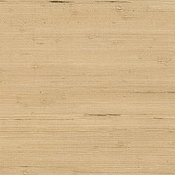 Galerie Wallcoverings Product Code: 488-433 - Grasscloth 2 Wallpaper Collection Galerie Wallcoverings Product Code 488-433 - Grasscloth 2 Wallpaper Collection - Jute Design