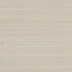 Galerie Wallcoverings Product Code: 488-444 - Grasscloth 2 Wallpaper Collection Galerie Wallcoverings Product Code 488-444 - Grasscloth 2 Wallpaper Collection - Sisal Design