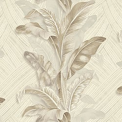 Galerie Wallcoverings Product Code: 49300 - Stratum Wallpaper Collection Galerie Wallcoverings Product Code 49300 - Stratum Wallpaper Collection - cream beige Colours - Palma Design