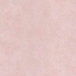 Galerie Wallcoverings Product Code: 494716 - Pop Skin Wallpaper Collection Galerie Wallcoverings Product Code 494716 - Pop Skin Wallpaper Collection -