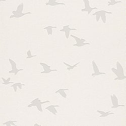 Galerie Wallcoverings Product Code: 503340 - Kids and Teens 2 Wallpaper Collection Galerie Wallcoverings Product Code 503340 - Kids and Teens 2 Wallpaper Collection -
